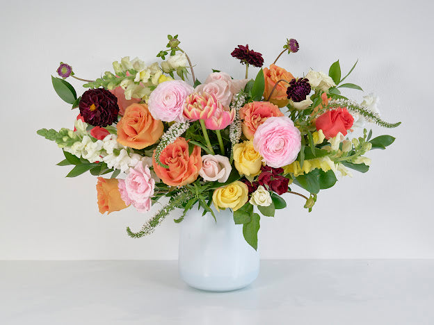 Dahlia Delight