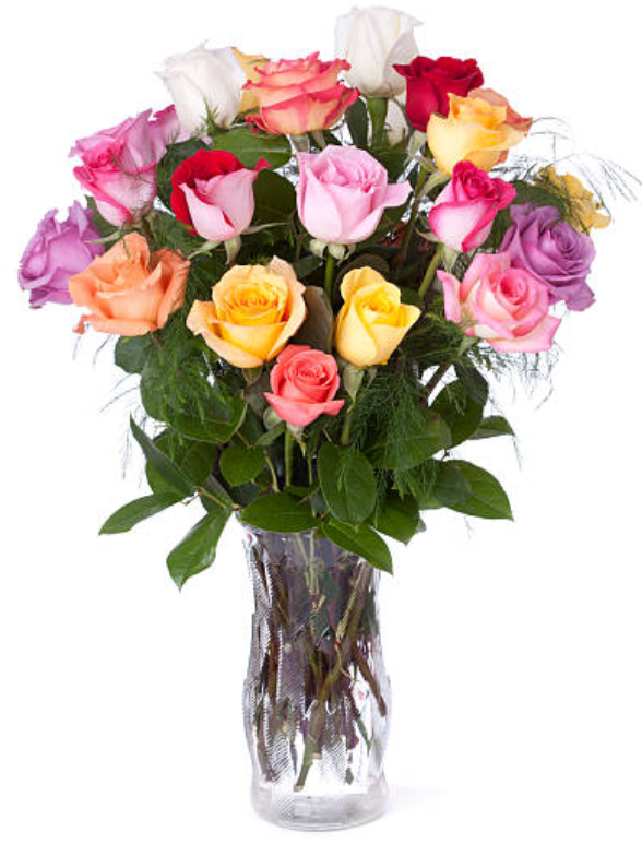 Colorburst Roses