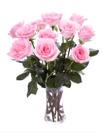 Blossoms of Adoration
