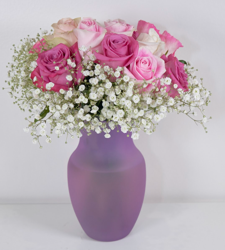 Colorburst Roses