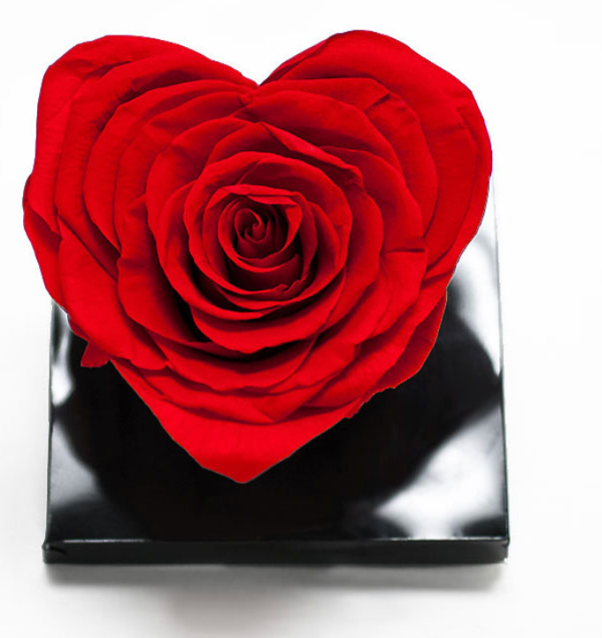 Heart Shaped Preserved Rose