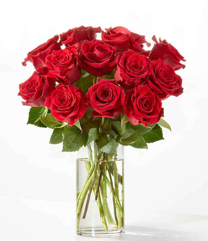 Valentine's Day Red Rose in a Vase