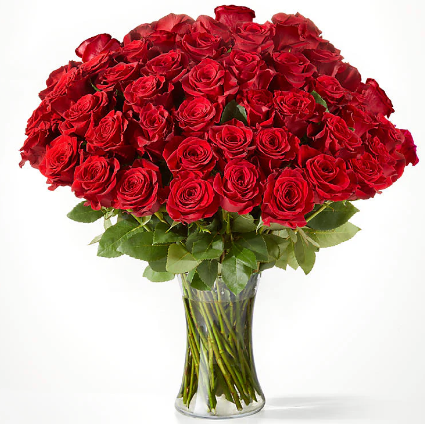 Valentine's Day Red Rose in a Vase
