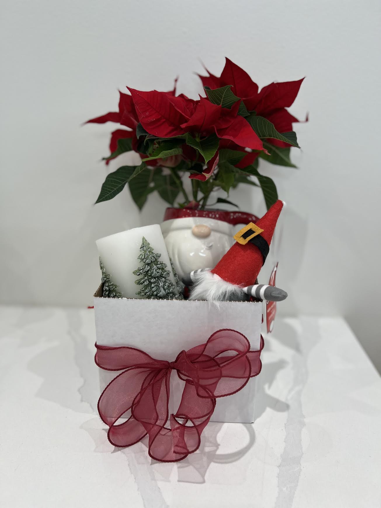 Santa Holiday Gift Basket