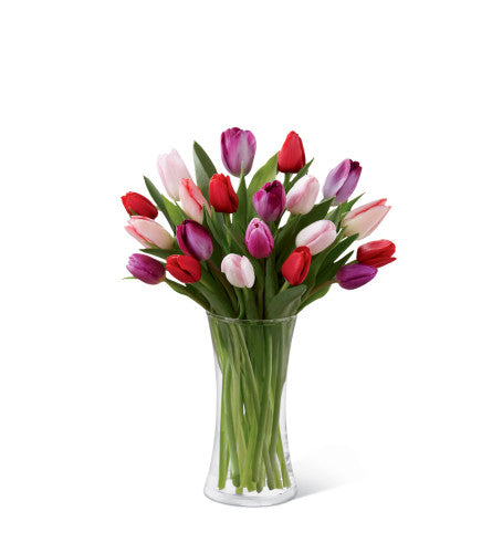 Berry Bloom Tulips