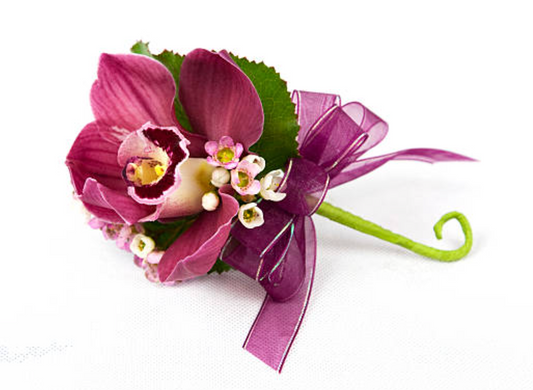 Petal Passion