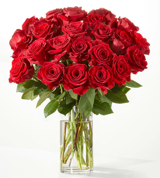 Valentine's Day Red Rose in a Vase