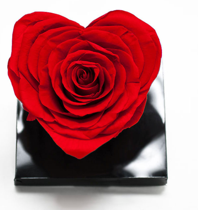 Valentine's Day Heart Shaped Preserved Rose