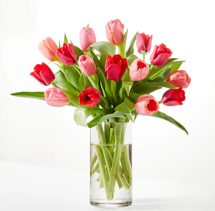 Valentine's Day Crushing on You Tulip