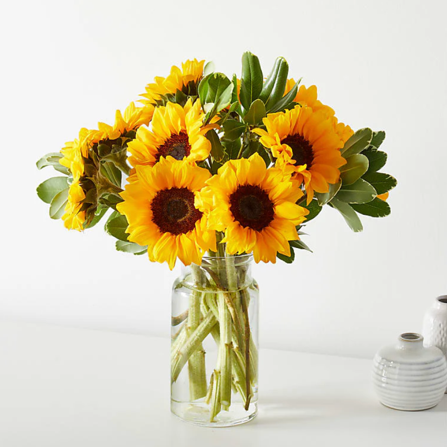 Hello Sunshine