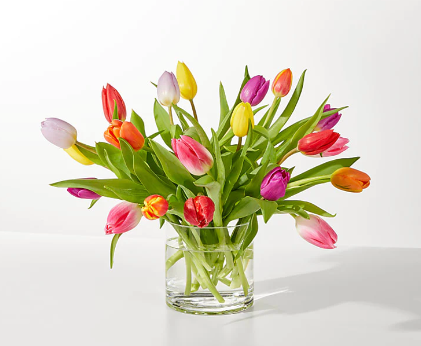 Spring Confetti Tulips