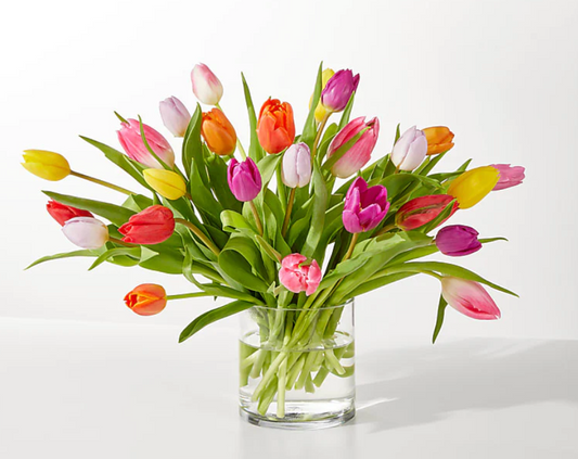 Spring Confetti Tulips