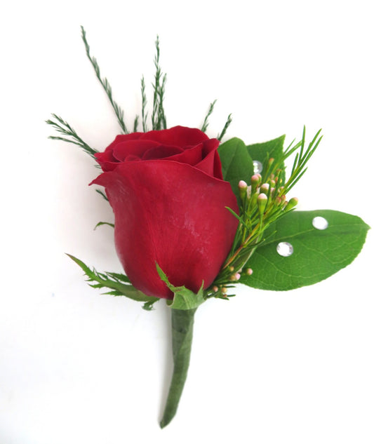 Enchanting Rose