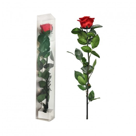 Valentine's Day Long Stem Preserved Rose